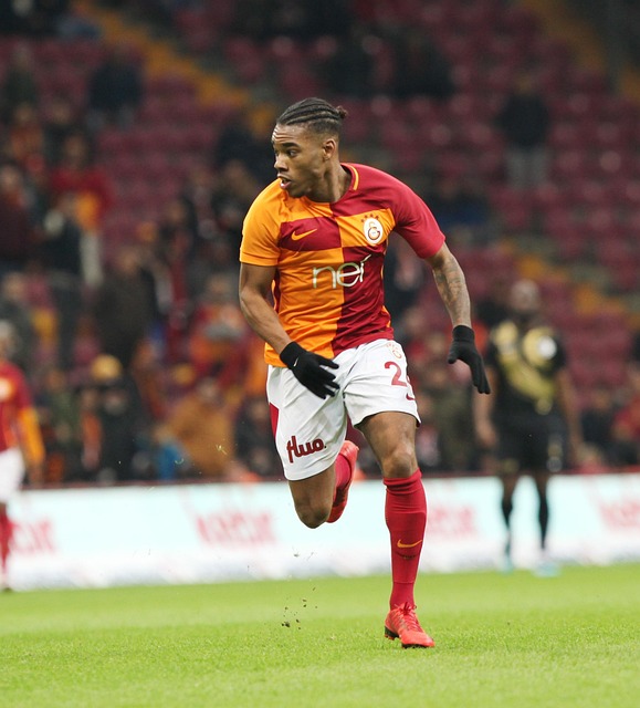 球市场和球 球市场和球